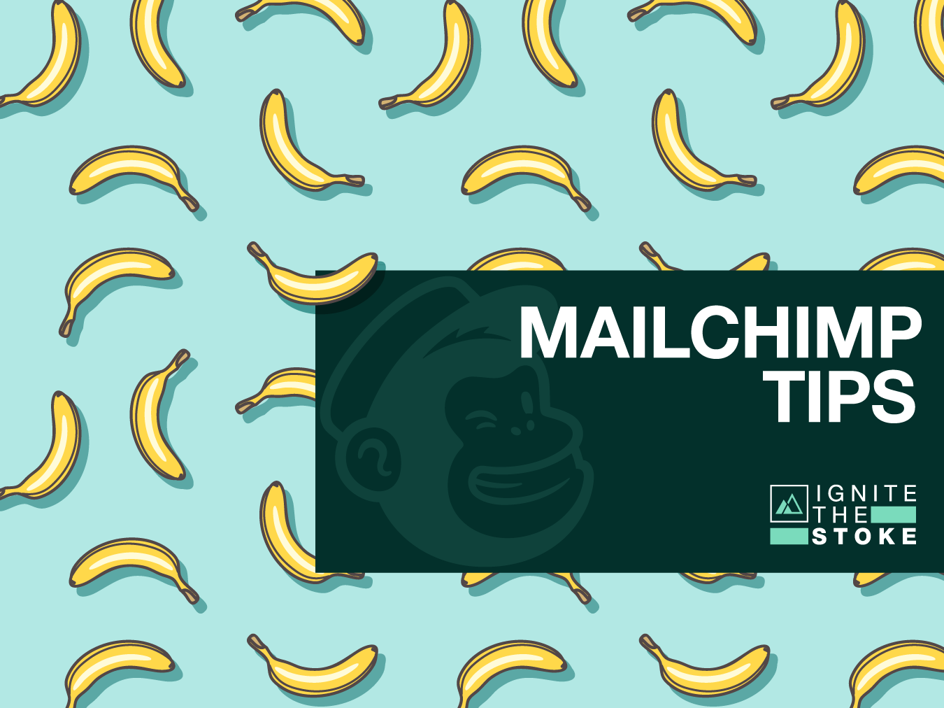 Mailchimp Tips from Ignite The Stoke.